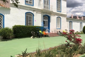 Foto 12