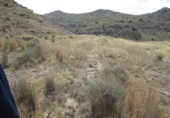 Land suitable for development for sale on España, Aspe, ref: TR129227 photo