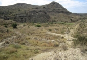 Land suitable for development for sale on España, Aspe, ref: TR129227 photo