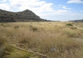Land suitable for development for sale on España, Aspe, ref: TR129227 photo