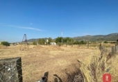Non-developable land for sale on España, Encinarejo de Córdoba, ref: TR146315 photo