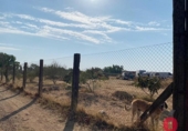 Non-developable land for sale on España, Encinarejo de Córdoba, ref: TR146315 photo