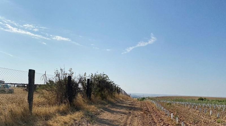 Córdoba - Córdoba - 12500m2