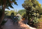 Casa de camp amb terreny en venda a la España, Alhaurín el Grande, ref.: TR136283 foto