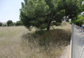 Terreny no urbanitzable en venda a la España, Godella, ref.: TR349289 foto