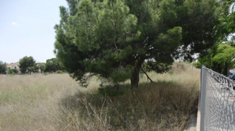 València - Godella - 1728m2