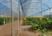 Terreny no urbanitzable en venda a la España, Puebla de Vícar, ref.: TR228218 foto