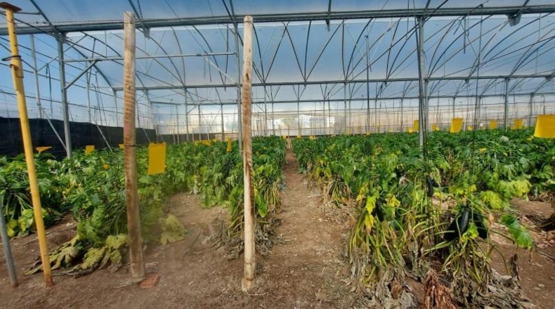 Almeria - Vícar - 18720m2