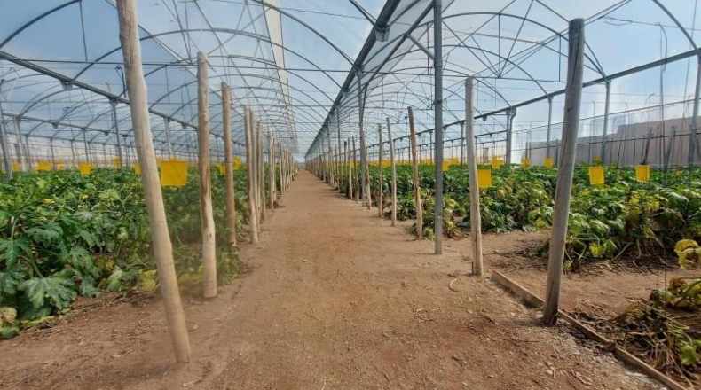 Almeria - Vícar - 18720m2