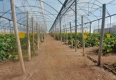 Terreny no urbanitzable en venda a la España, Puebla de Vícar, ref.: TR228218 foto