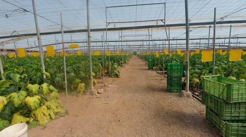 Almeria - Vícar - 18720m2