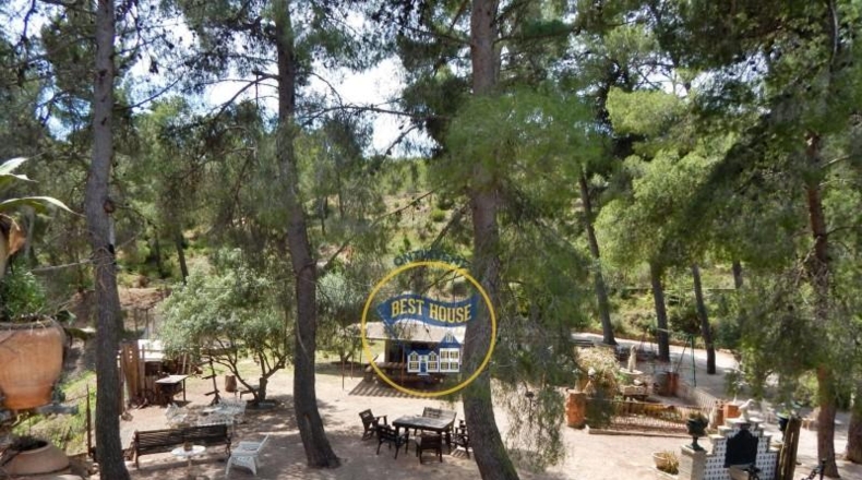 Alicante - Cocentaina - 111500m2