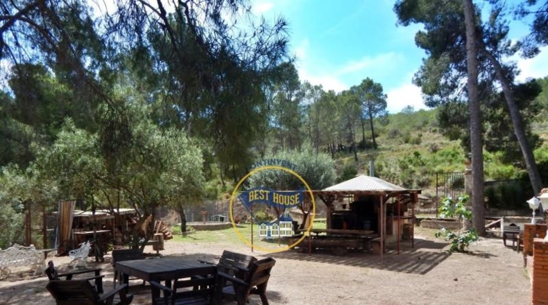 Alicante - Cocentaina - 111500m2