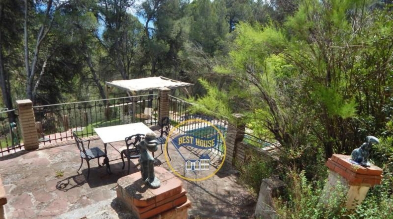Alicante - Cocentaina - 111500m2
