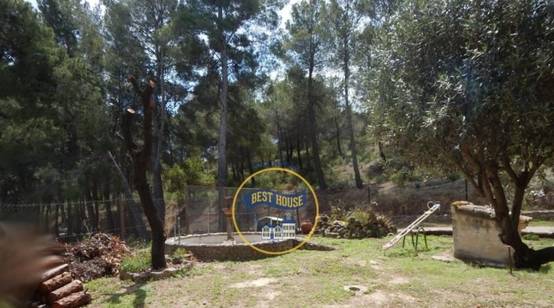 Alicante - Cocentaina - 111500m2