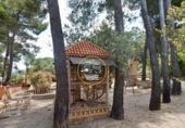Xalet independent amb terreny en venda a la España, Cocentaina, ref.: TR245846 foto