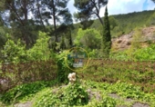 Xalet independent amb terreny en venda a la España, Cocentaina, ref.: TR245846 foto