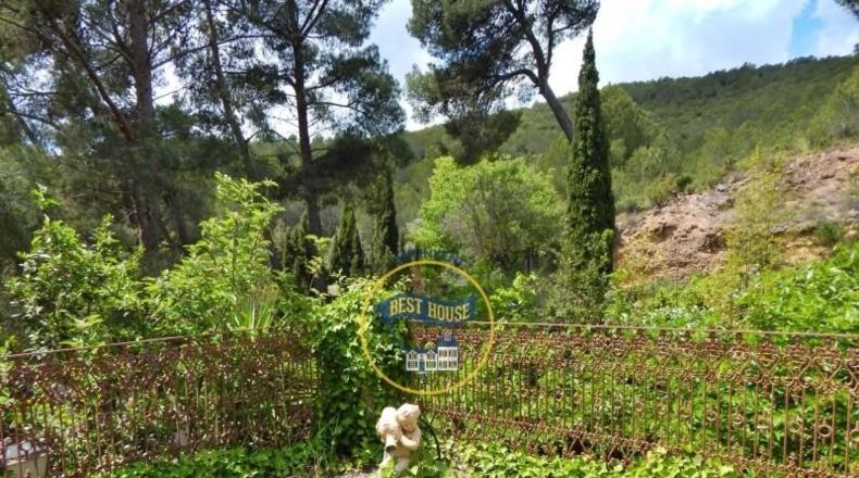 Alicante - Cocentaina - 111500m2