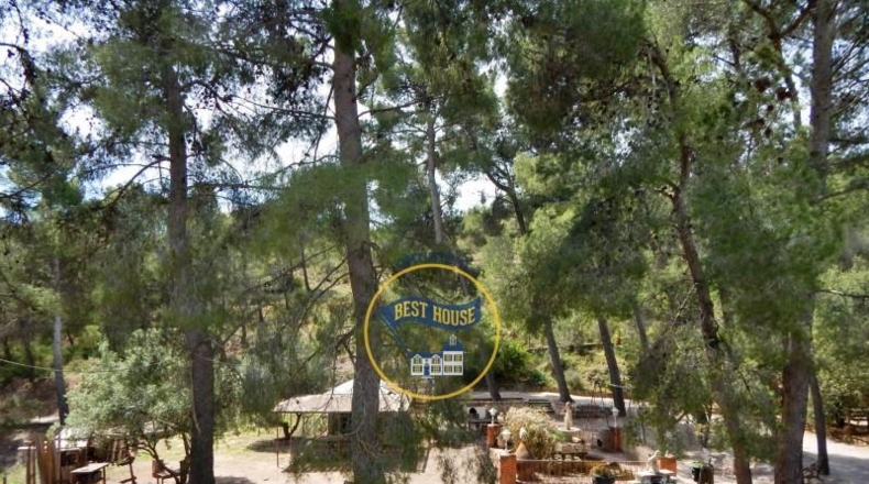 Alicante - Cocentaina - 111500m2