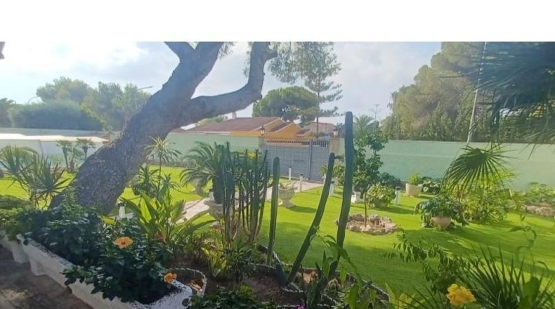 Alicante - Dehesa de Campoamor - 1500m2