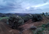 Sòl urbà en venda a la España, Benahavís, ref.: TR179460 foto