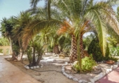 Chalet independiente con terreno en venta en la España, Finestrat, ref: TR155226 foto