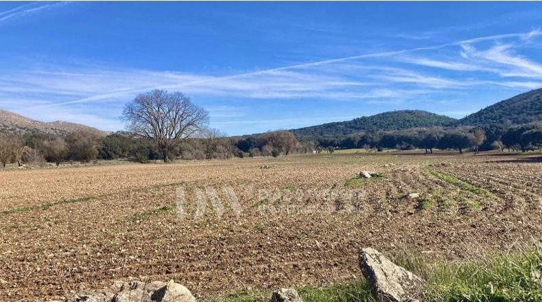 Málaga - Alfarnate - 1050000m2
