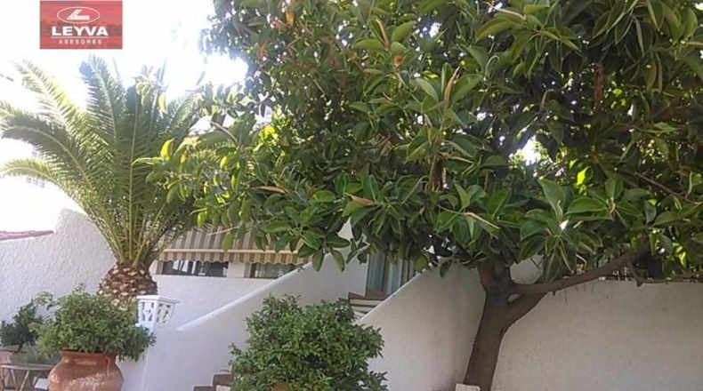 Murcia - Cartagena - 1700m2