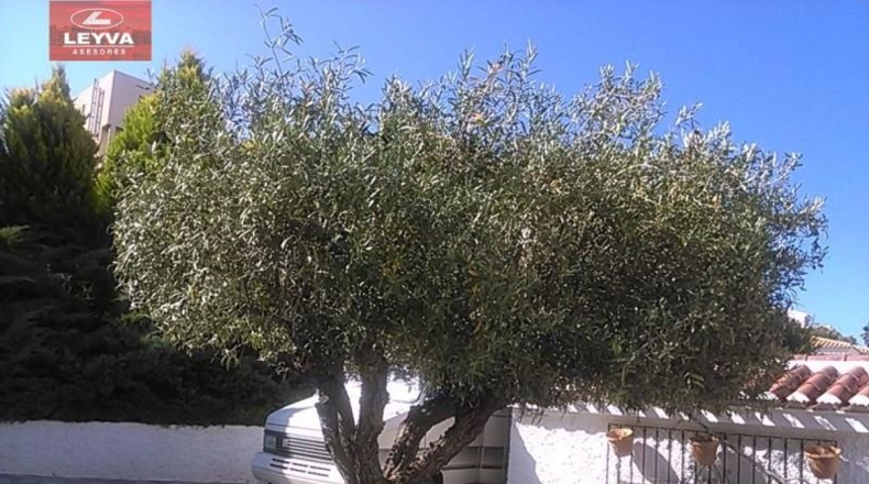 Murcia - Cartagena - 1700m2