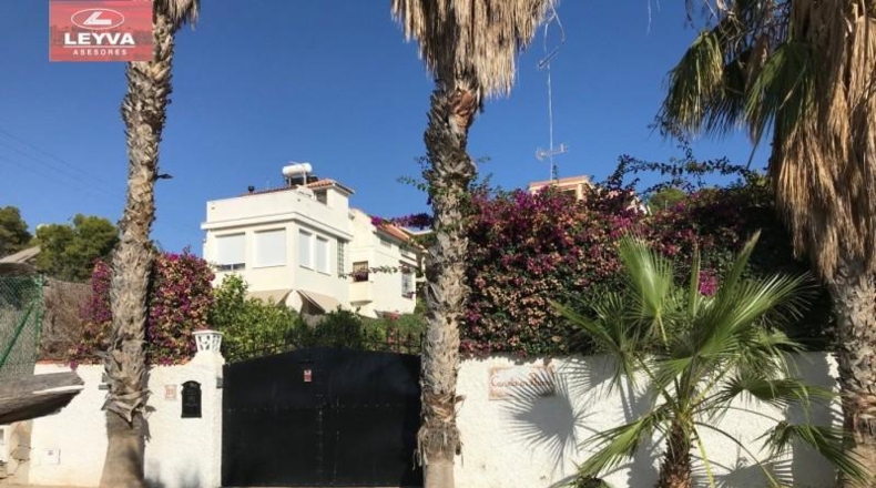 Murcia - Cartagena - 1700m2