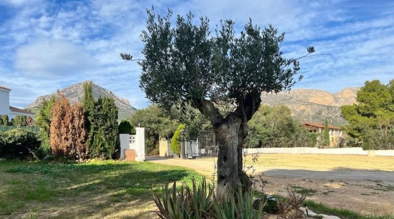 Alicante - La Nucía - 3000m2