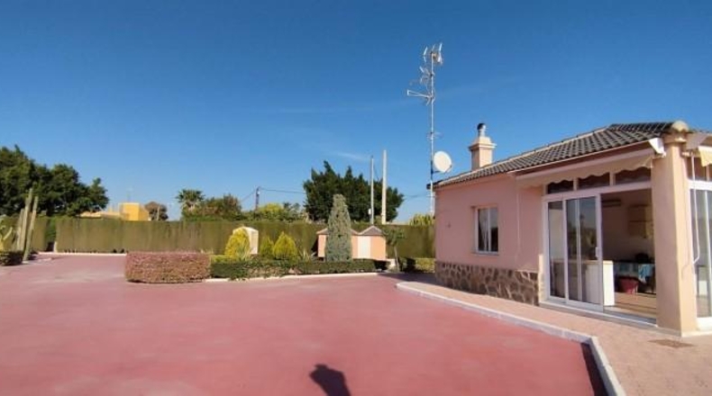 Alicante - Elche - 12000m2
