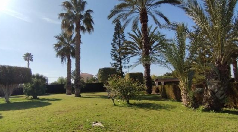 Alicante - Elche - 12000m2