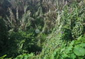 Sòl urbà en venda a la España, San Cristóbal de La Laguna, ref.: TR242659 foto