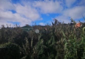 Sòl urbà en venda a la España, San Cristóbal de La Laguna, ref.: TR242659 foto