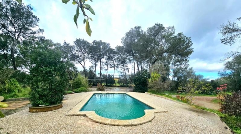 Balearic Islands - Algaida - 7388m2