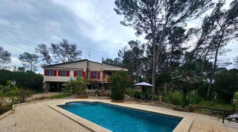 Balearic Islands - Algaida - 7388m2