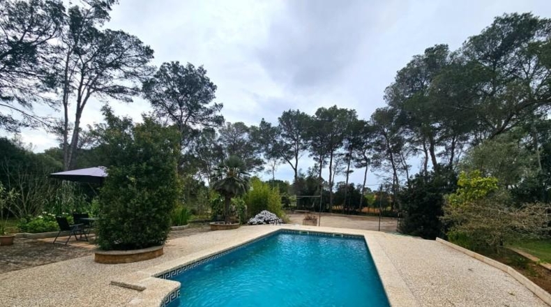 Balearic Islands - Algaida - 7388m2