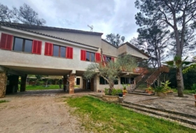 Foto 8