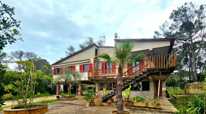 Balearic Islands - Algaida - 7388m2