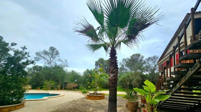 Balearic Islands - Algaida - 7388m2