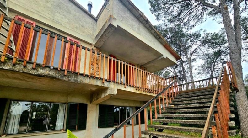 Balearic Islands - Algaida - 7388m2