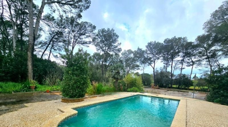 Balearic Islands - Algaida - 7388m2