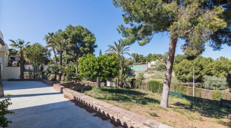 Alicante - Elche - 2069m2