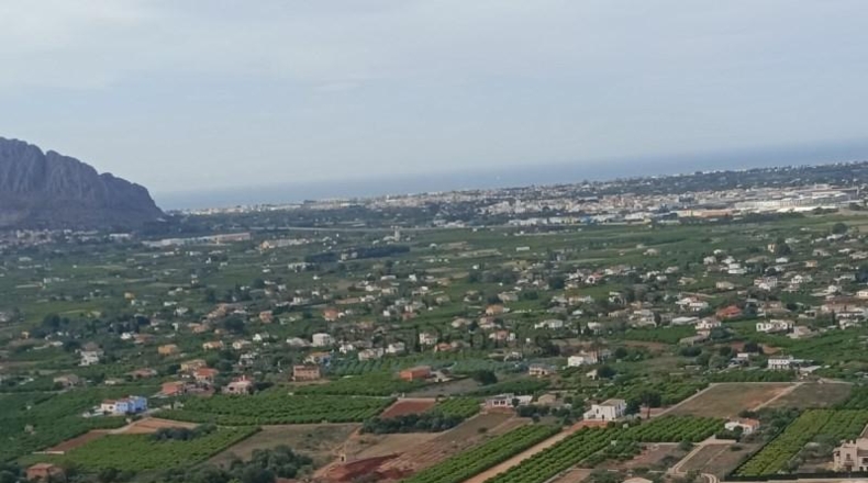 Alicante - Pedreguer - 1200m2