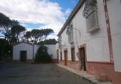 Chalet independiente con terreno en venta en la España, Monóvar, ref: TR146037 foto