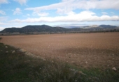 Chalet independiente con terreno en venta en la España, Monóvar, ref: TR146037 foto