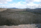 Chalet independiente con terreno en venta en la España, Monóvar, ref: TR146037 foto