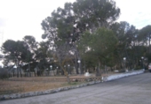 Chalet independiente con terreno en venta en la España, Monóvar, ref: TR146037 foto