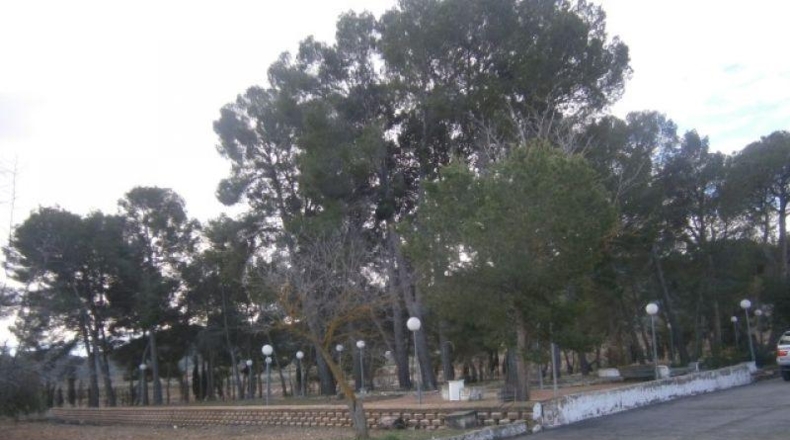 Alicante - Monóvar - 72275m2